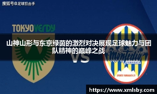球王会体育官网